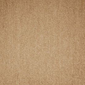 Paragon Cut Pile Maestro Beige (Min order required)